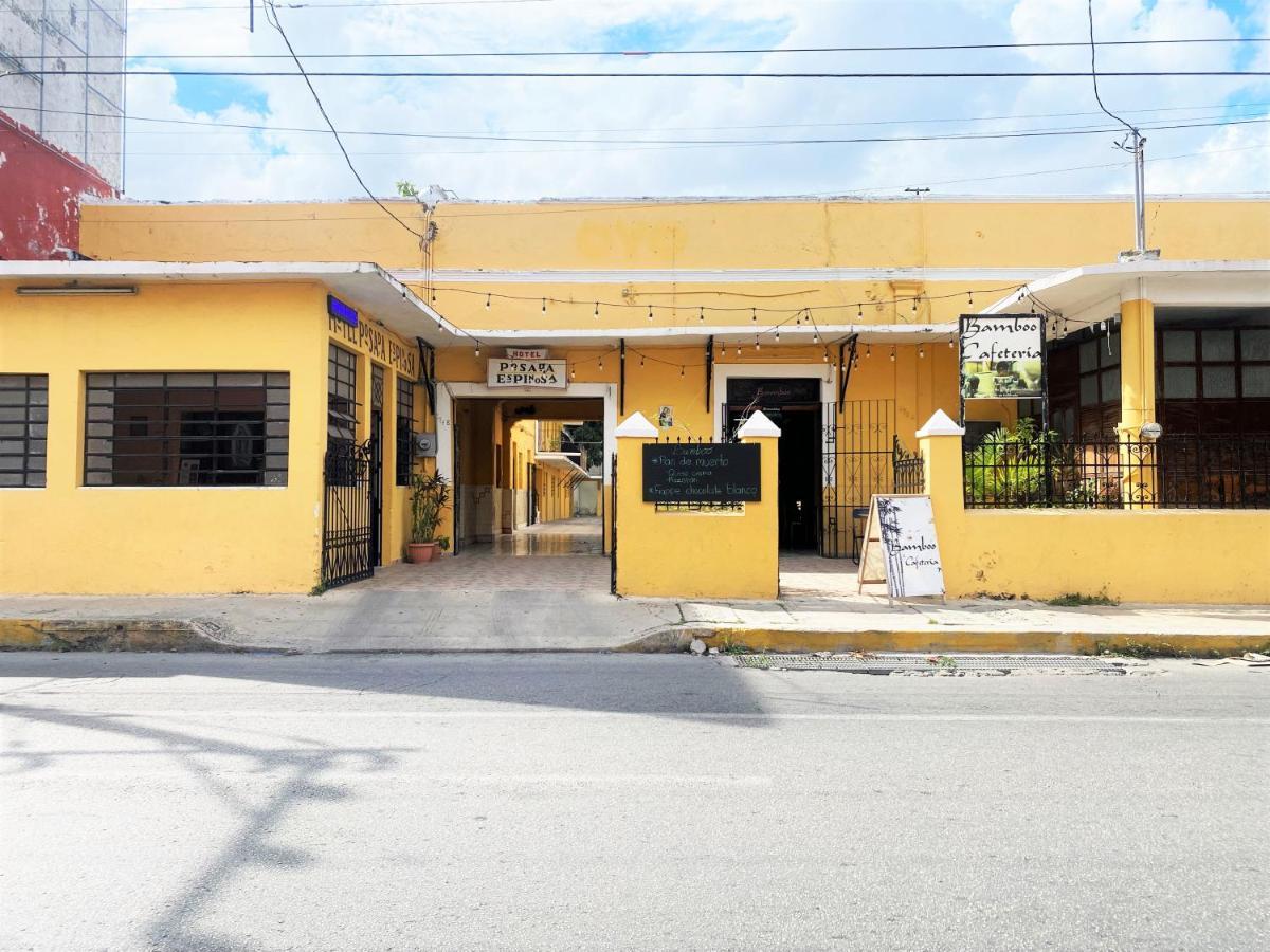 Oyo Posada Espinosa, Merida, Parque De Santa Ana Exteriör bild