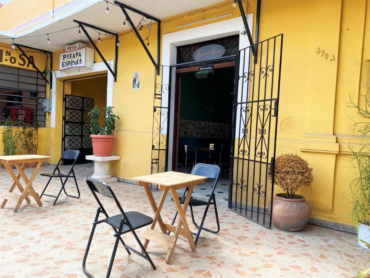 Oyo Posada Espinosa, Merida, Parque De Santa Ana Exteriör bild
